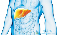 �Ҹα��濹�����Ա�ʾ������Ҹβ���û��������