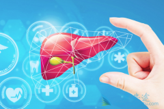 ���͸��ײ�����������ʲô���ã�