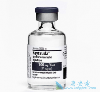 ���ڷΰ�����Ŀǰ����ʹ��PD-1���Ƽ�Kҩ������