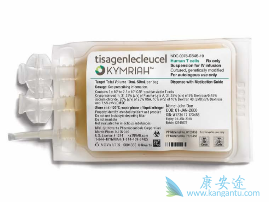 CAR-T治疗 CAR-T治疗