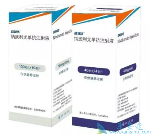 纳武单抗 纳武单抗