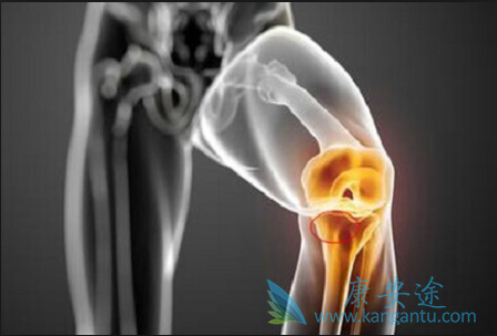 肺癌骨转移的治疗 肺癌骨转移的治疗