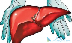 ���Ƹ��׵ķ����������Ʒ��ʺ������Ҹλ��ߣ�