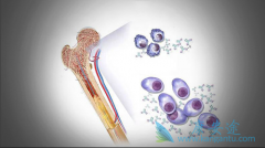 ��Ϊ�෢�Թ�����֢״֮һ��ƶѪ����ԭ����ʲô�����Ʒ�������Щ��