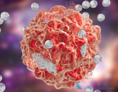 �￨���(Dacarbazine)��������Щ���������ƣ���