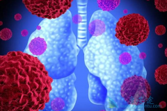 ����᲼���й��ط��Է���ά��������Ч����