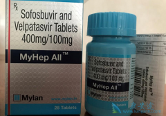 ��ͨɳΪʲô�ܳ�Ϊ��������һ����ѡ������