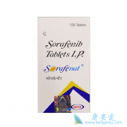 ���ʹ�ò��ܸ��÷���Sorafenib/�༪���Ĺ��׿������ã�