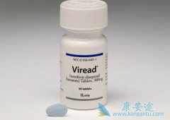 ͣ����ŵ��Τ��(TDF)���ҸλḴ����