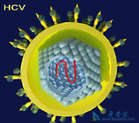 ΪʲôҪ�˽���͸���/���ε�����֢״��