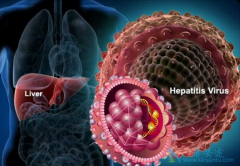 �Ҹ�������������ܻ�ó��ڵ���ѵ���Ч��