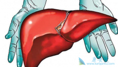 �Ҹβ���Я���߻ᴫȾ�Ҹβ�����