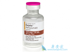 HER2�������ٰ�ʹ�������鵥����T-DM1���Ƶ�Ч������