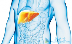 �Ҹα��濹ԭ������ʲô��˼���ǵ����Ҹ���