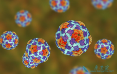 �Ҹ����԰���ձ���ô�����Ҹκ��Ŀ�����ʲô�ã�