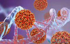 �Ҹλ���Ϊʲô��������͸��ײ������濹�����ԣ�