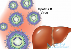 TDF�Ѿ���Ϊ�ҹ��Ҹ�����ָ���е�һ���Ƽ�ҩ��