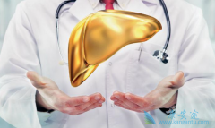 �����Ҹκ��Ŀ�����Ҹα��濹��ͬʱ����ԭ������Щ��