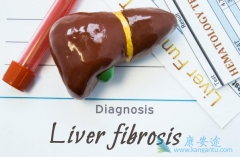 �������ƹ����������ЧԤ��HBV�ټ��