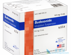 �����ε�(Budez CR)��Ԥ���ΰ�������Ǳ������