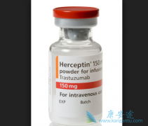 �����鵥��(herceptin)���컷��ҩ�����û���������˥�߷���