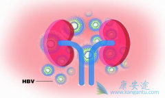 �Ҹκ��Ŀ���������ʲô��˼����������Щ���壿