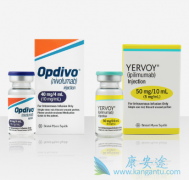 ���ڸΰ�����ʹ���������Ƶ���Ч����