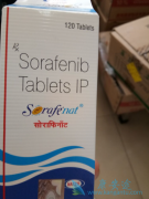 ��Щ�����ܴӶ༪��(Sorafenib)���������л��棿
