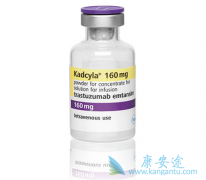 HER2�����������ٰ�ʹ��Kadcyla(T-DM1)���Ƶ�Ч������