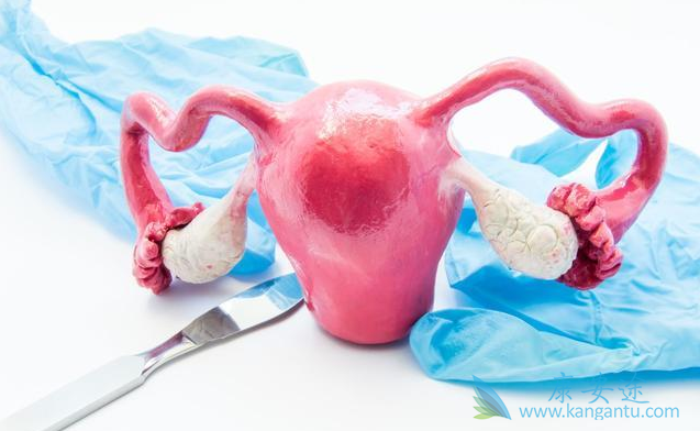 囊肿和肿瘤的区别 囊肿和肿瘤的区别