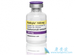 �����鵥������ż����Kadcyla��������HER2�����������ٰ�