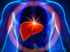 ����ת�������ٶȸ�����ԭ�򾿾���ʲô��