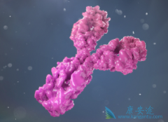 HER2�������ٰ����õĿ���ż��ҩ������Щ��