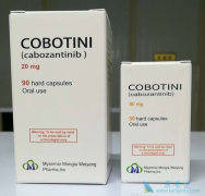 �������������Щҩ����������һ��������TKI��ҩ��Ļ��ߣ�