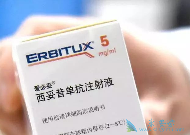 西妥昔单抗 西妥昔单抗