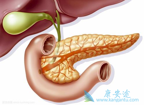 胰腺癌的治疗 胰腺癌的治疗