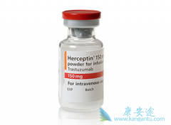 HER2�������ٰ�ʹ�������鵥�����������鵥��������ô����