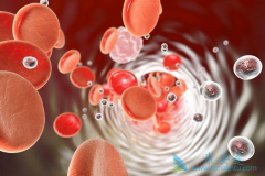 ������ϸ���԰�Ѫ������Щ�������Ʒ�������ѡ��