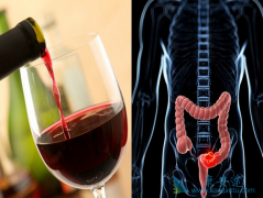 �������ƻ�������Щ������������