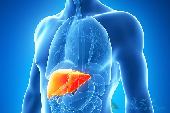 治疗丙肝的药物 治疗丙肝的药物