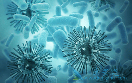 丙肝病毒 丙肝病毒