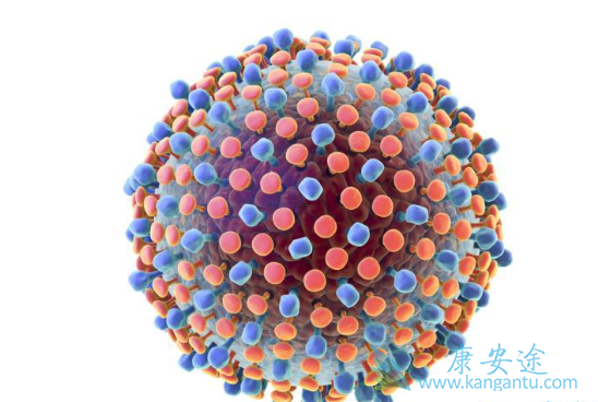 什么是丙肝 什么是丙肝