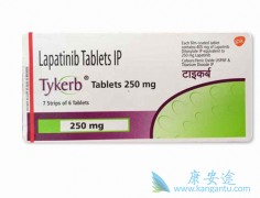 ��������(Lapatinib)����ǿ���ƶ����ٰ����ߵķ�����������