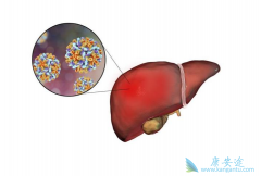 �Ҹ�dna������������Ӧ��������ƴ�����