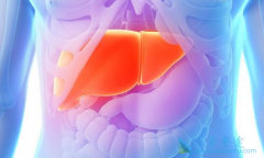 �Ҹ�������������͸��׺��Ŀ���������ζ��ʲô��