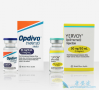 PD1���������������ĸ����ÿ�������Щ��