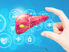 �����Ա��ο��������Ƿ���Ҫ����Ӧ���HCVRNA�ж�