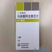 �������������ΪERBB2����ͻ���Сϸ���ΰ����ߵ���Ч���Ʒ���