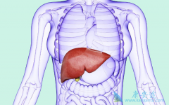 ֱ�ӿ�����ҩ����ֺ��������������Ʊ��Σ�