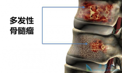 �෢�Թ���������������������Ч���Ƕ��٣�